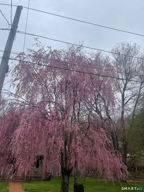 Tiny photo for 39 Long Pond Road S, Ledyard, CT 06339 (MLS # 24157636)