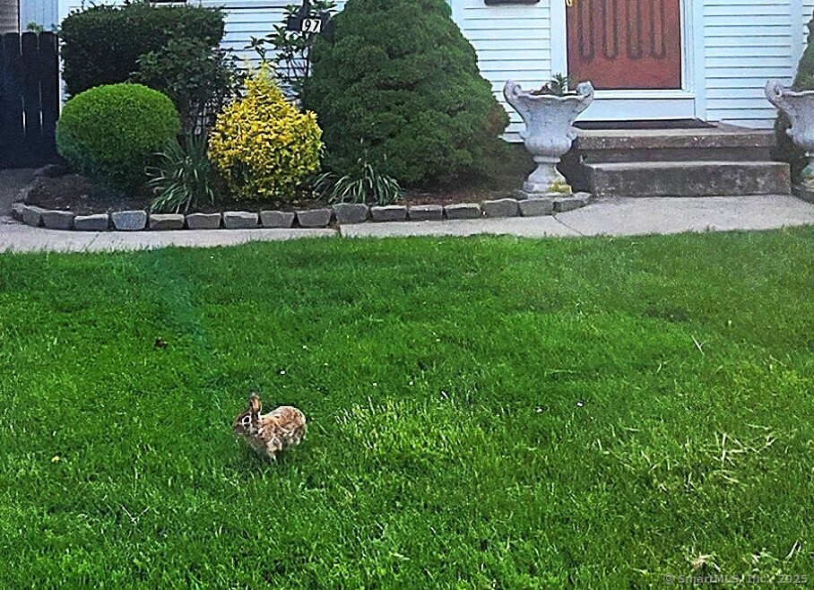 97 Waterbury Avenue, Stamford, Connecticut image 19