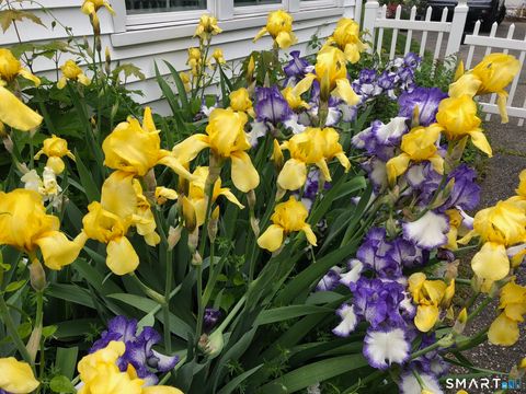 Tiny photo for 188 Henderson Road, Fairfield, CT 06824 (MLS # 24156016)