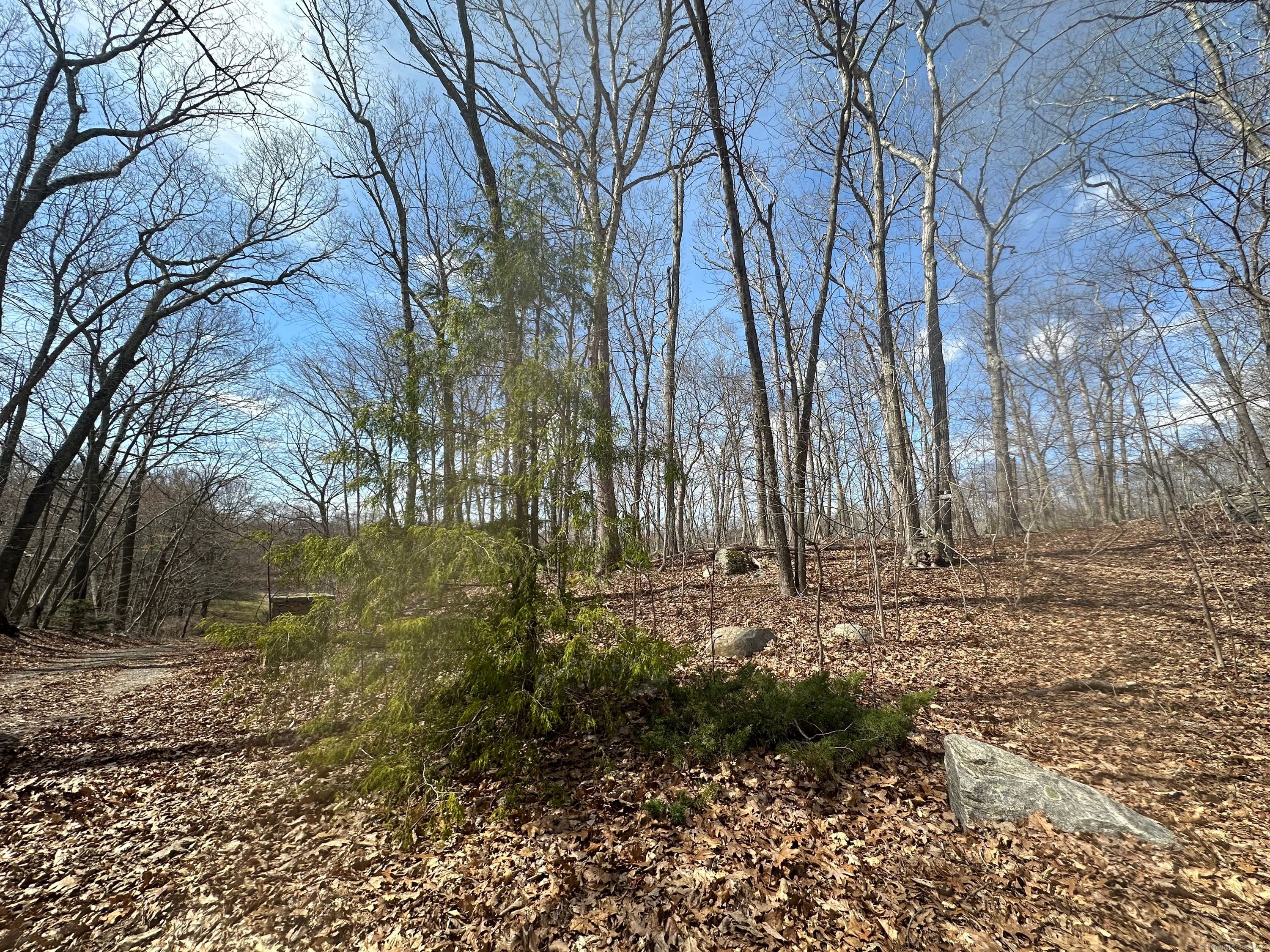 19A Brickyard Road, Clinton, Connecticut image 11