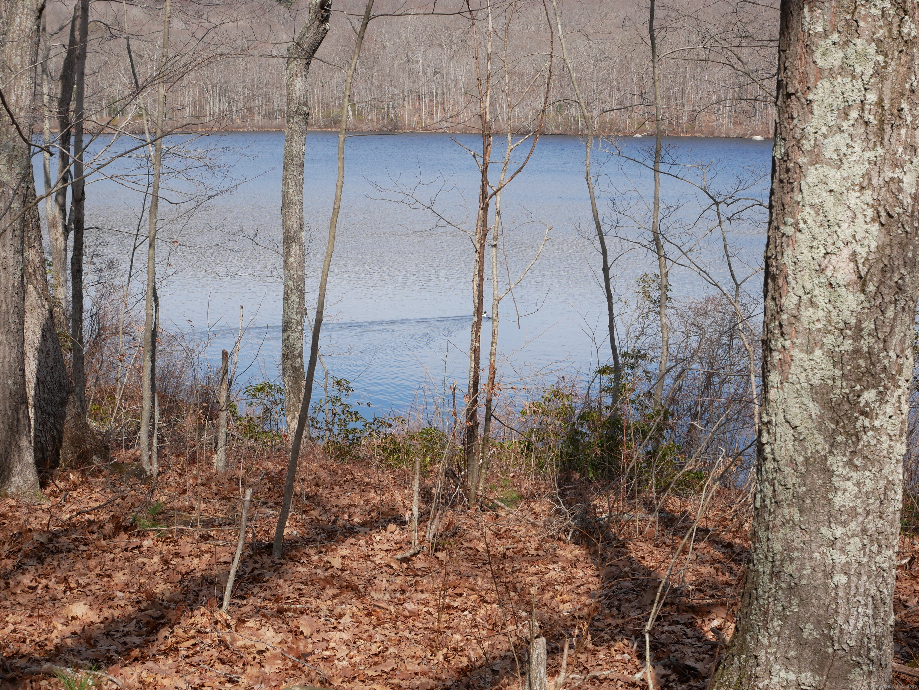 14 & 18 Balazs Road, Willington, Connecticut image 11