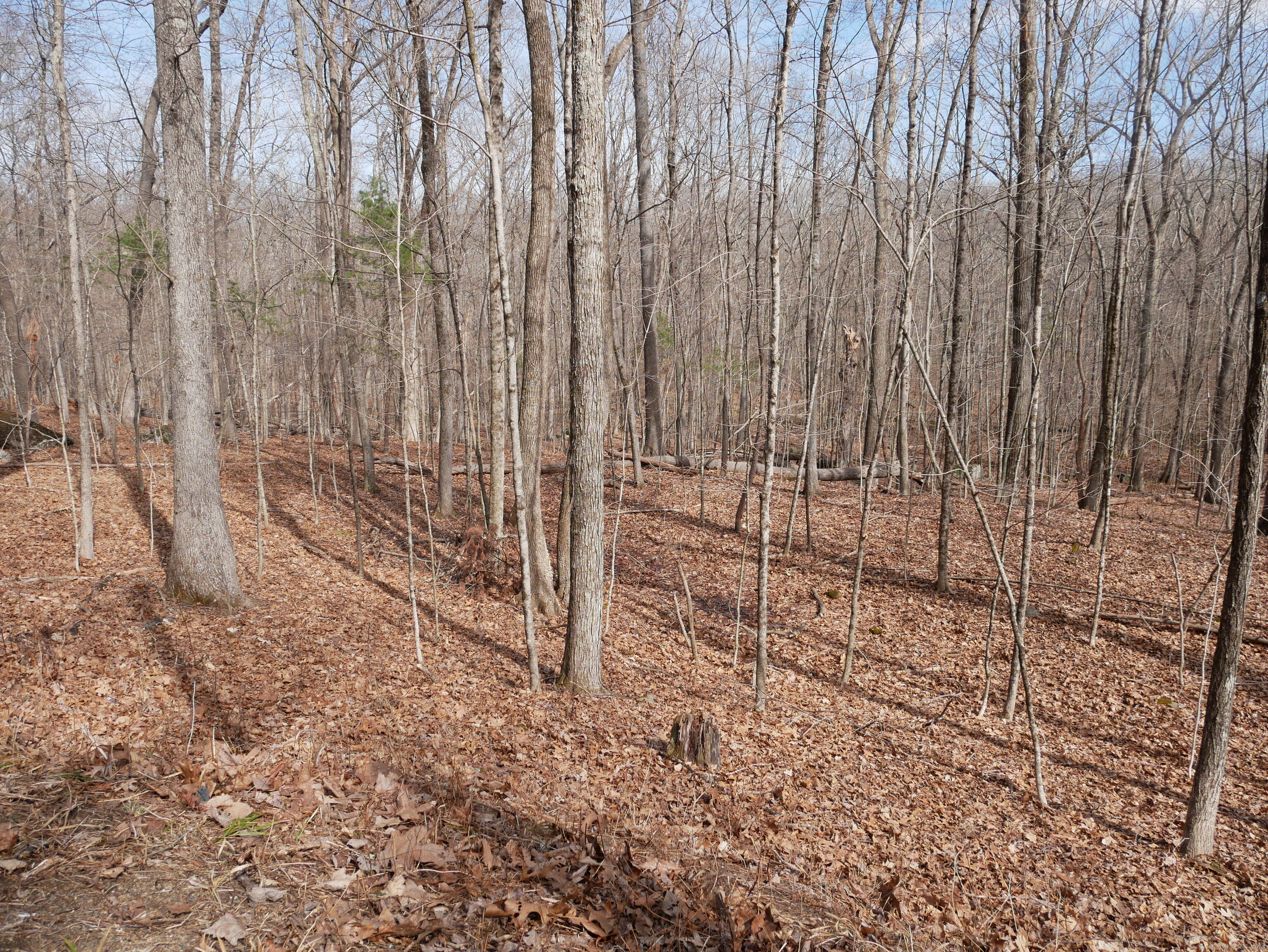 14 & 18 Balazs Road, Willington, Connecticut image 20