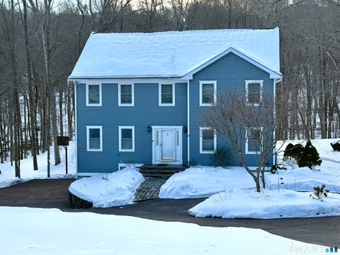 Photo of 24 Silver Birch Road, New Milford, CT 06776 (MLS # 24153330)