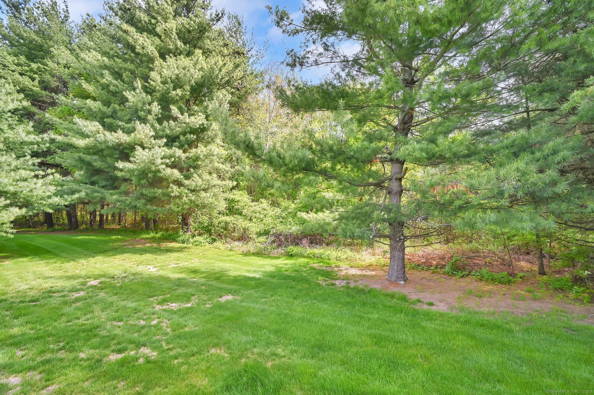 6 Partridge Run #6, Enfield, Connecticut image 39