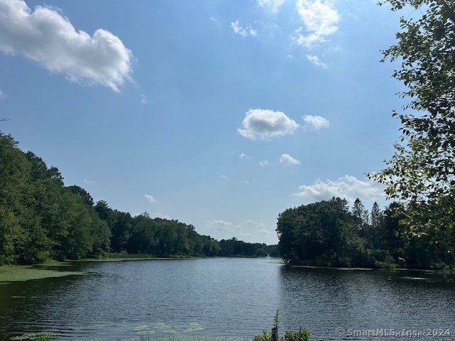 31 Woods Way #31, Woodbury, Connecticut image 38