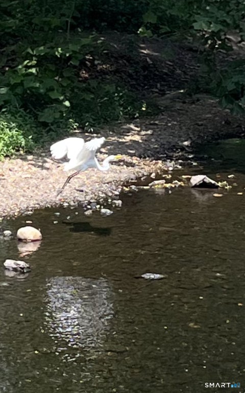Tiny photo for Stamford, CT 06902 (MLS # 24207200)