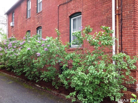 Tiny photo for Stamford, CT 06902 (MLS # 24207200)
