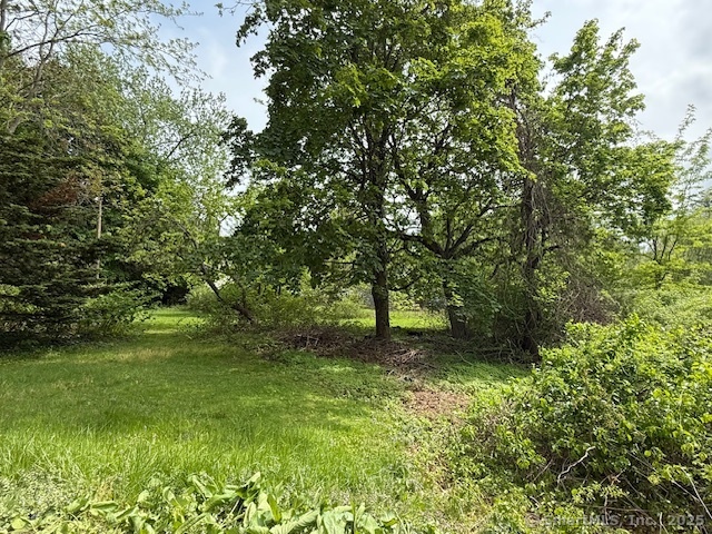 83 Hill Street, Meriden, Connecticut image 7