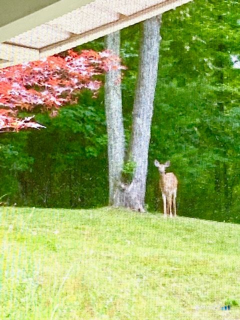 Tiny photo for 394 Killingly Avenue, Putnam, CT 06260 (MLS # 24145212)