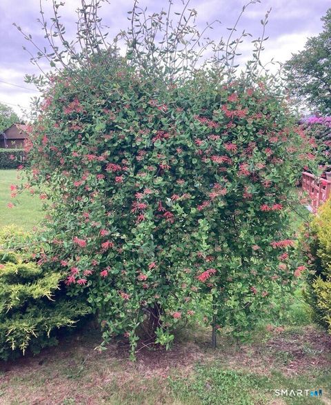 Tiny photo for 21 Glenn Lane, West Hartford, CT 06110 (MLS # 24145571)