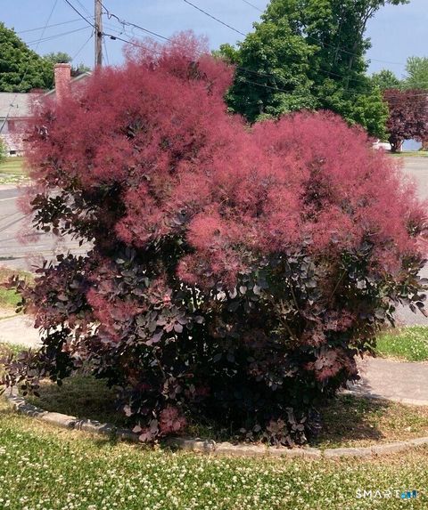 Tiny photo for 21 Glenn Lane, West Hartford, CT 06110 (MLS # 24145571)