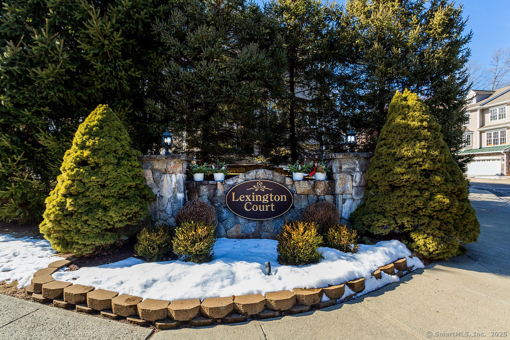 37 Cambridge Drive #37, Danbury, Connecticut image 39
