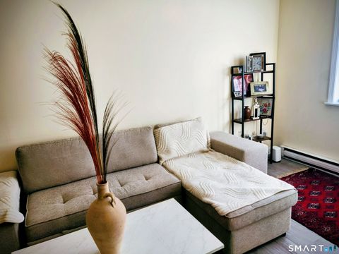 Tiny photo for 91 4th Street #APT 7, Ansonia, CT 06401 (MLS # 24152383)