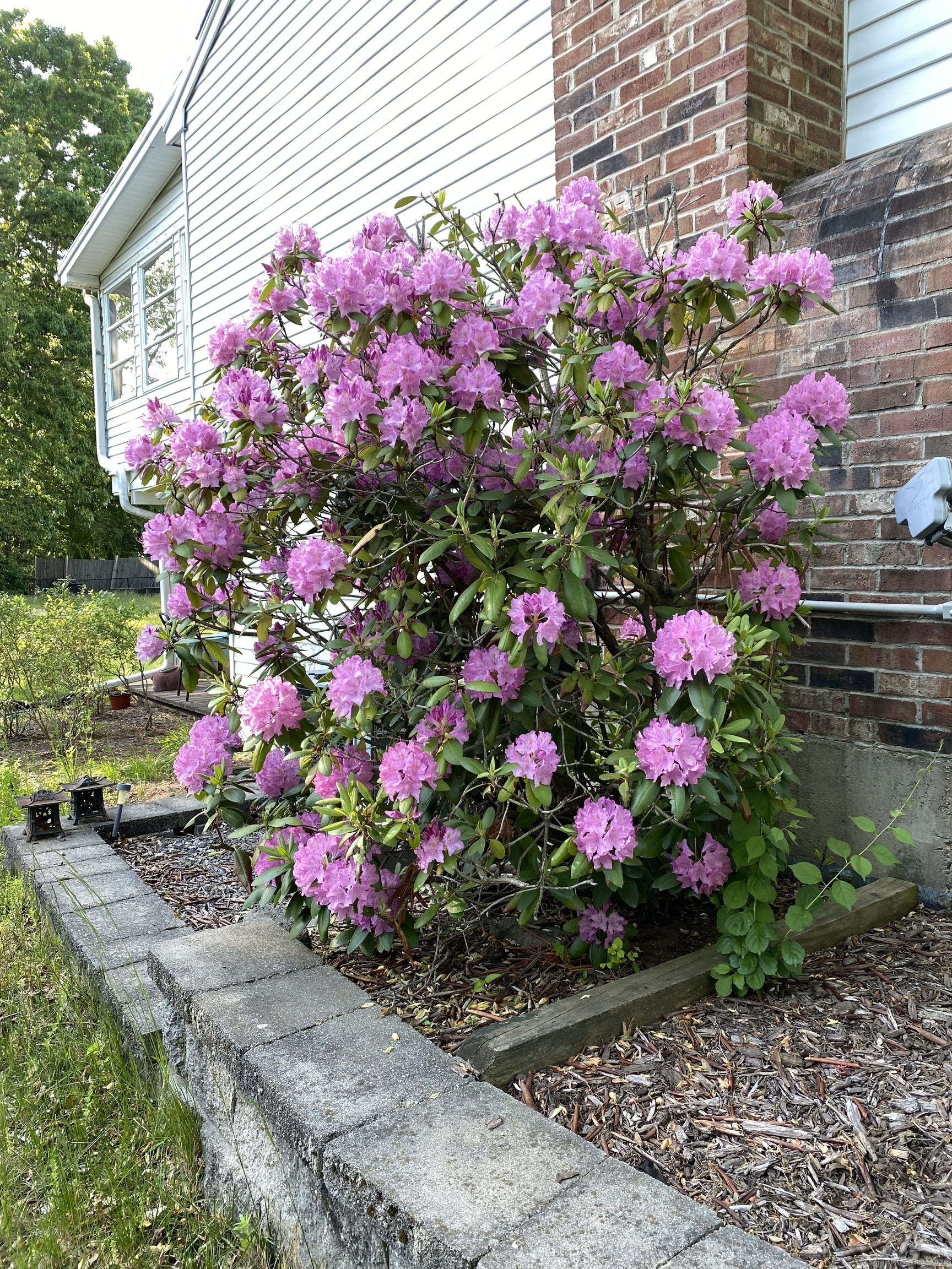 131 Rolling Meadow Drive, East Hartford, Connecticut image 29