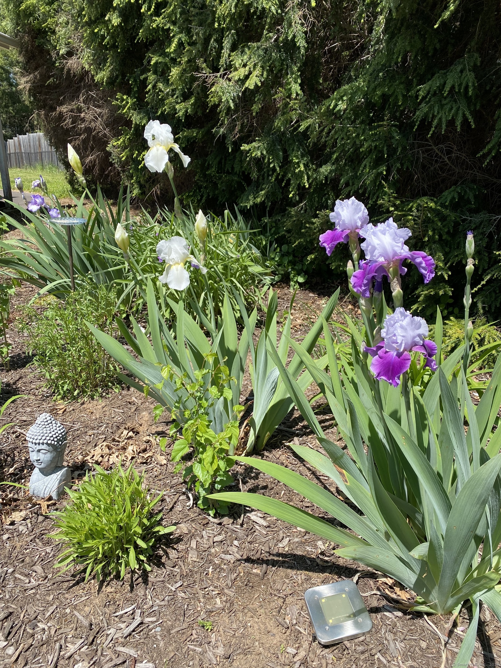 131 Rolling Meadow Drive, East Hartford, Connecticut image 28