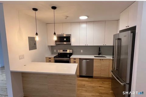 67 Balance Rock Road APT 7 Seymour CT 06483