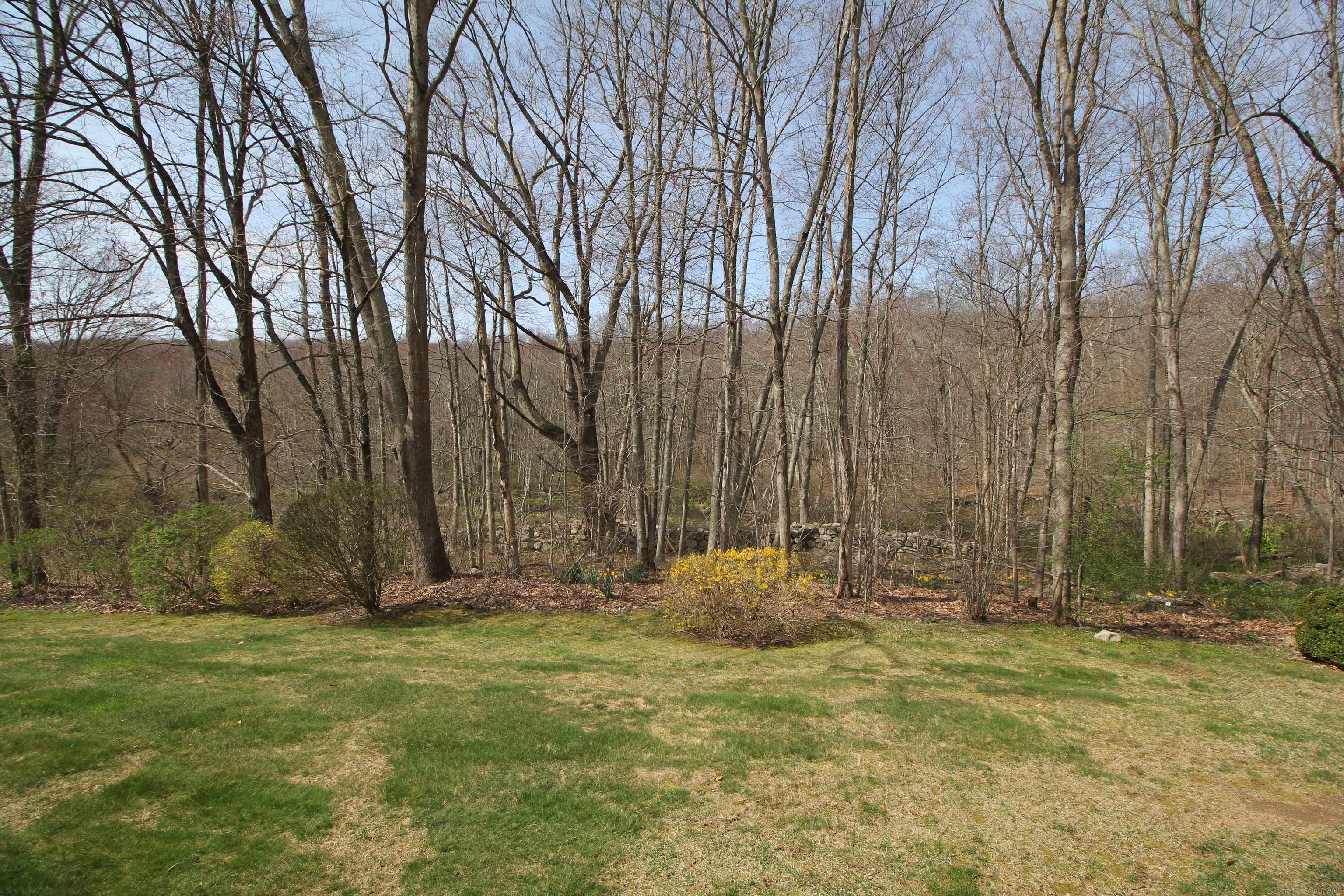 8 River Road #8, Hebron, Connecticut image 4