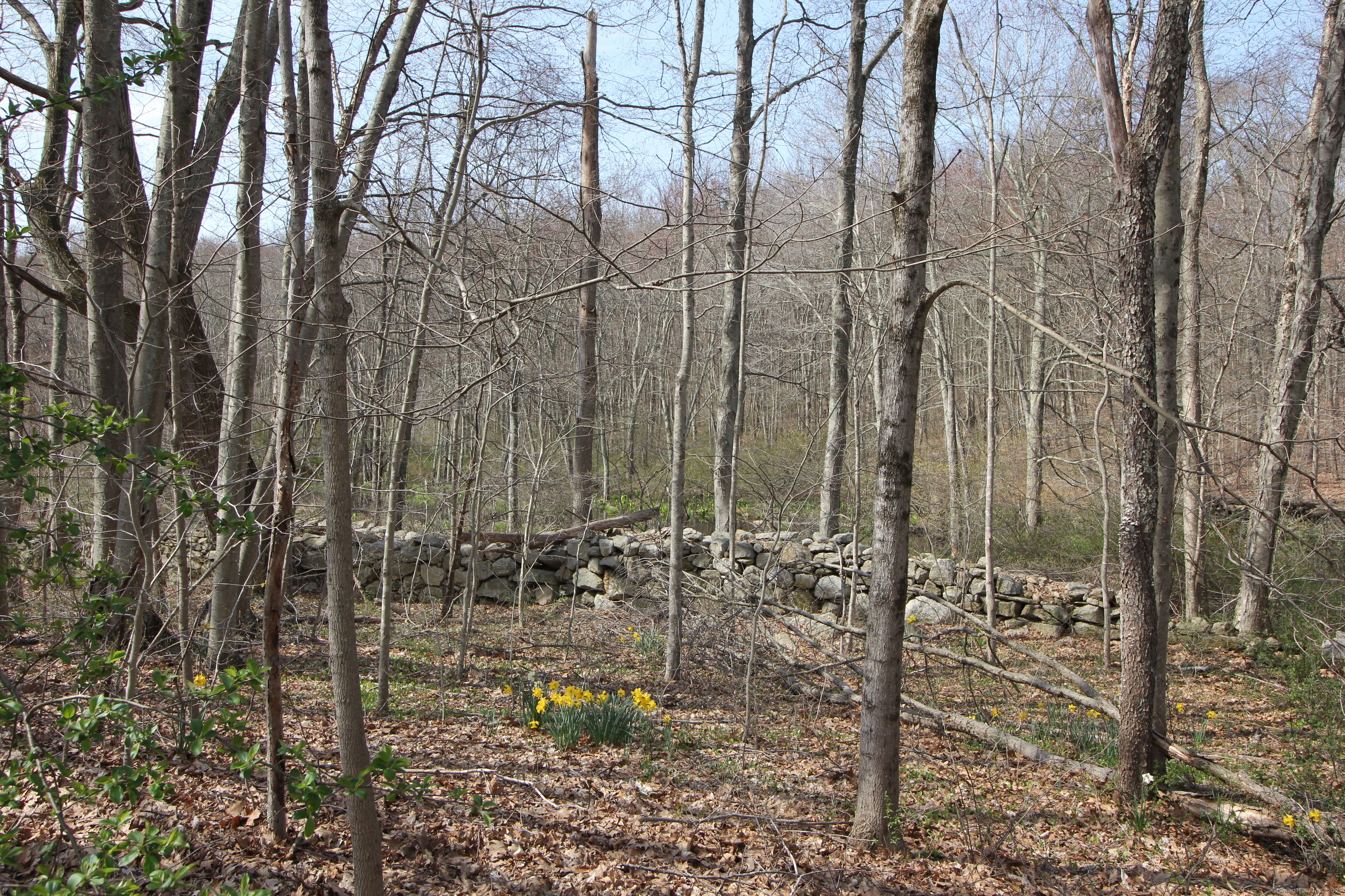 8 River Road #8, Hebron, Connecticut image 5