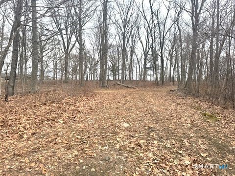 Vacant Land For Sale - 73 Blue Hill Road<br/> Bozrah, CT 06334