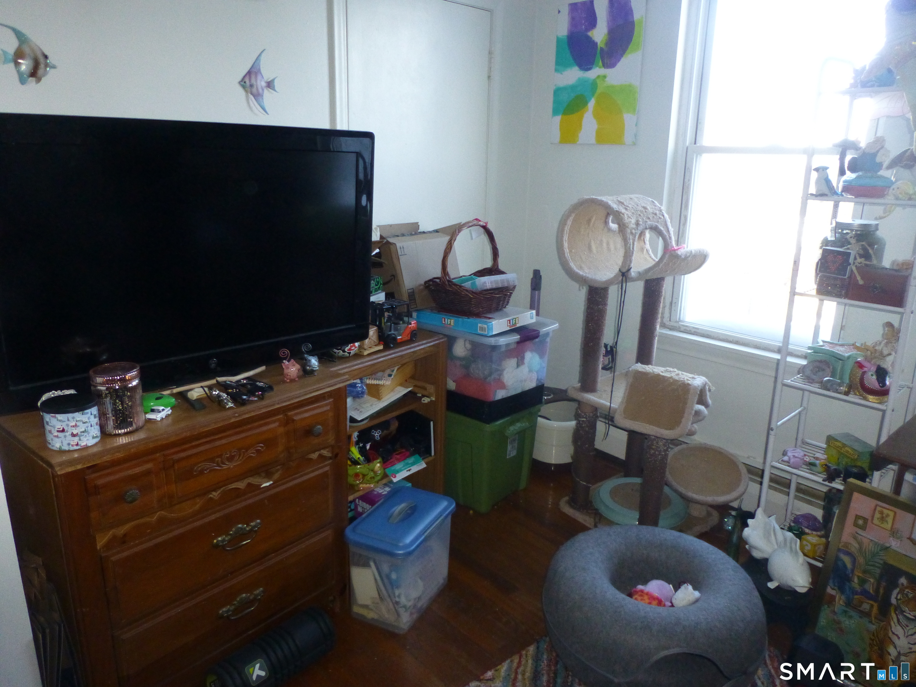 104 Mount Pleasant Street