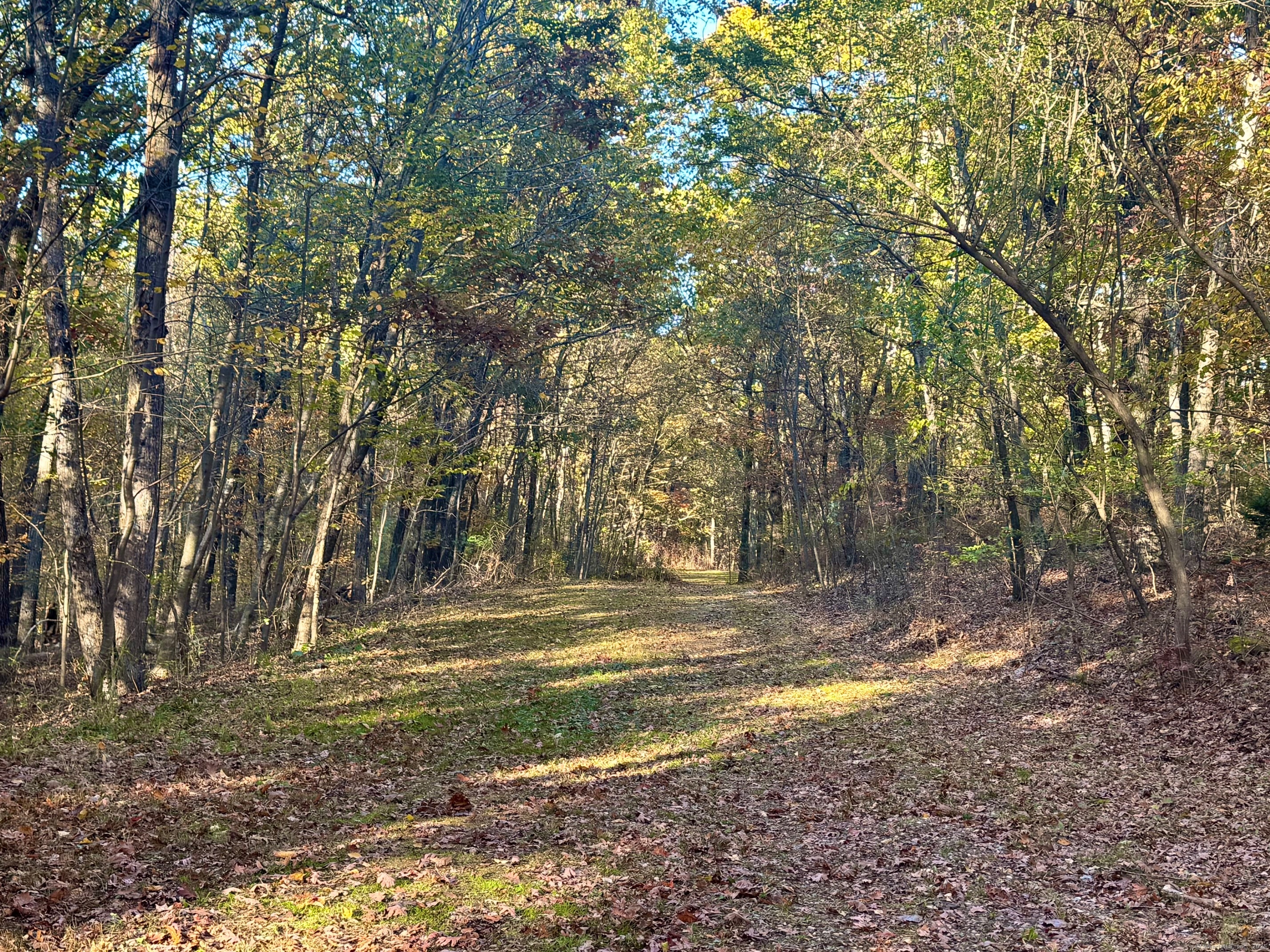 Mountain Laurel Drive