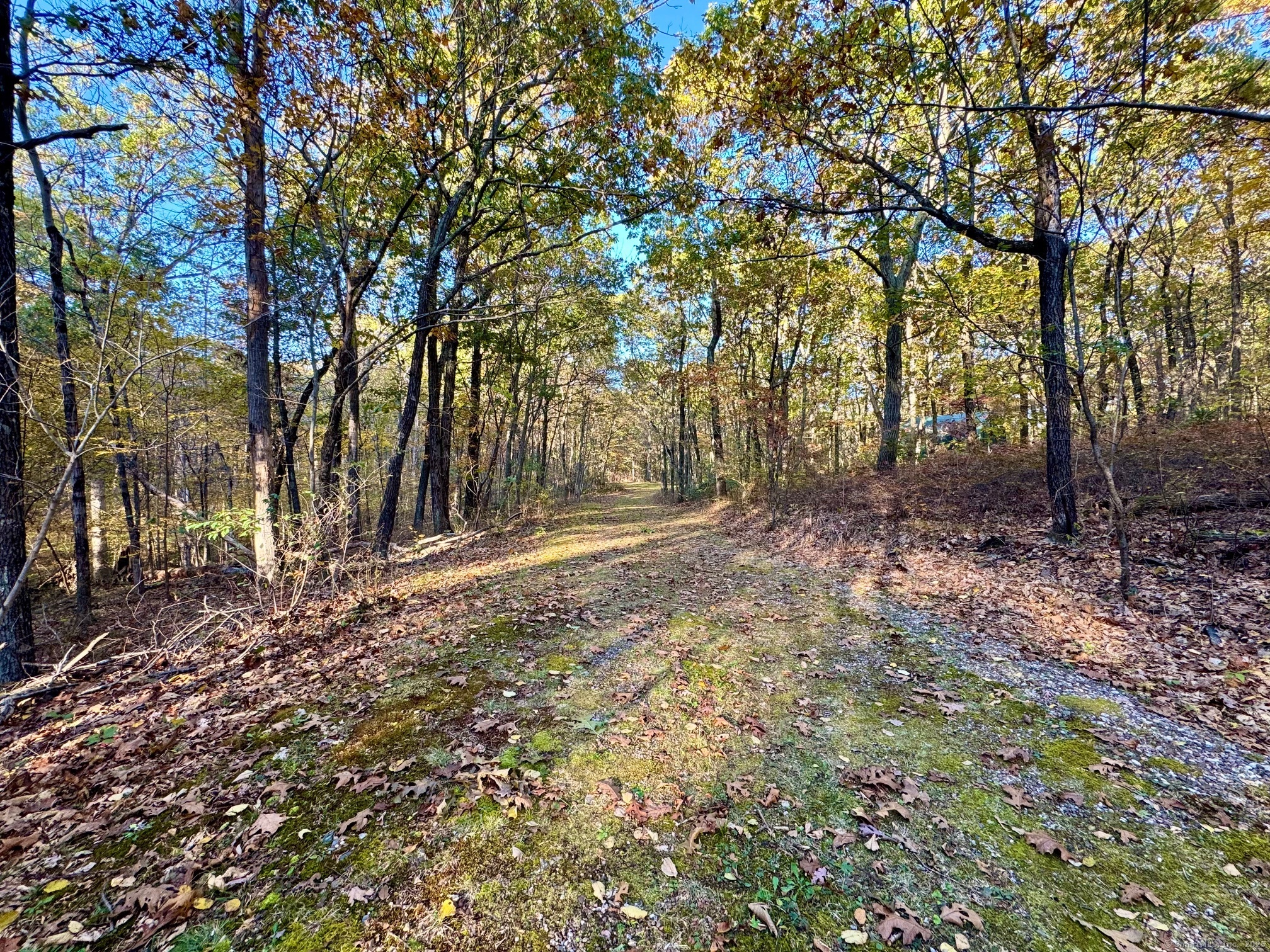 Mountain Laurel Drive