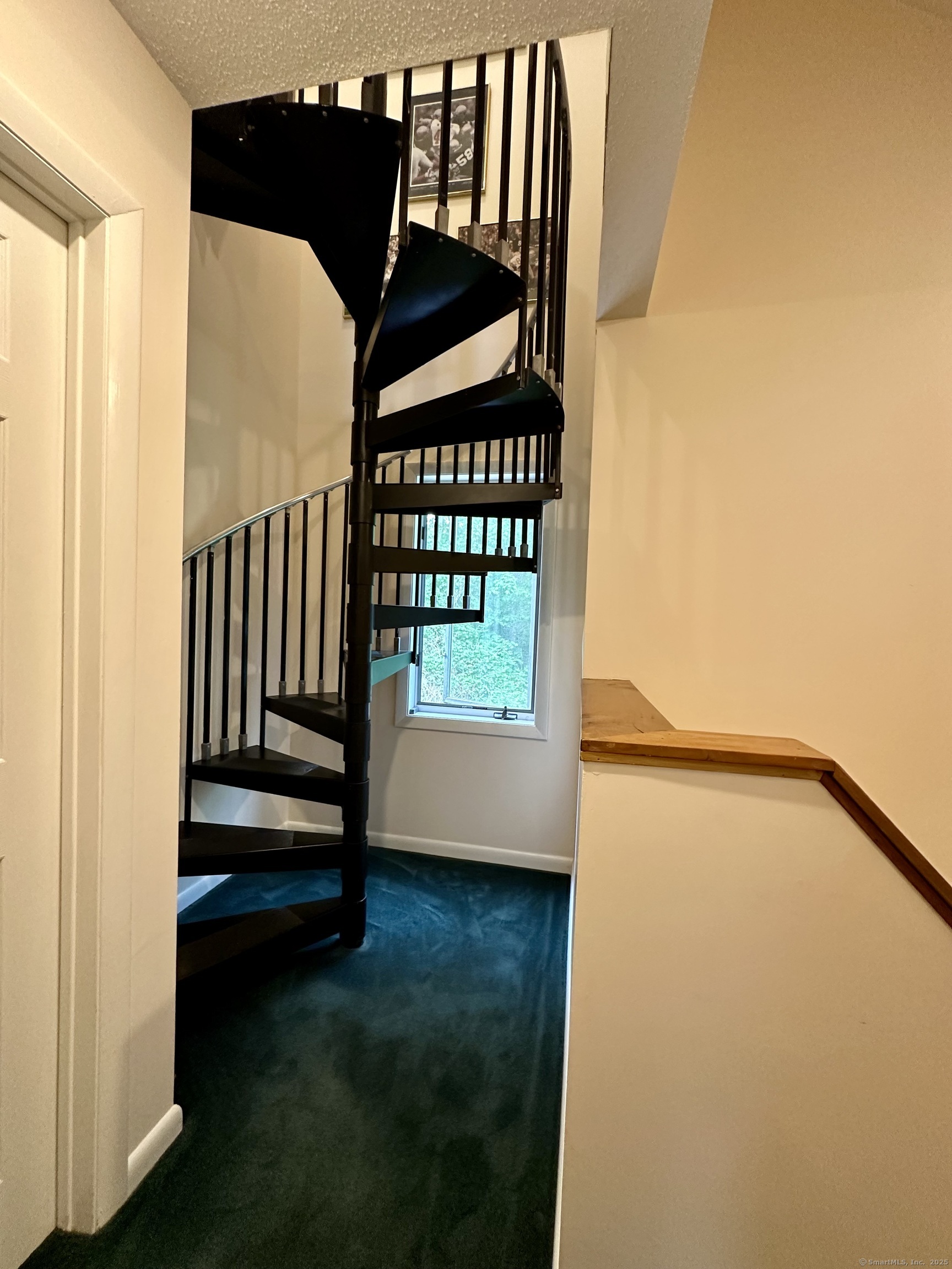 36 Hampshire Drive, Hamden, Connecticut image 18