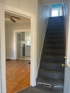 230 Westfield Avenue