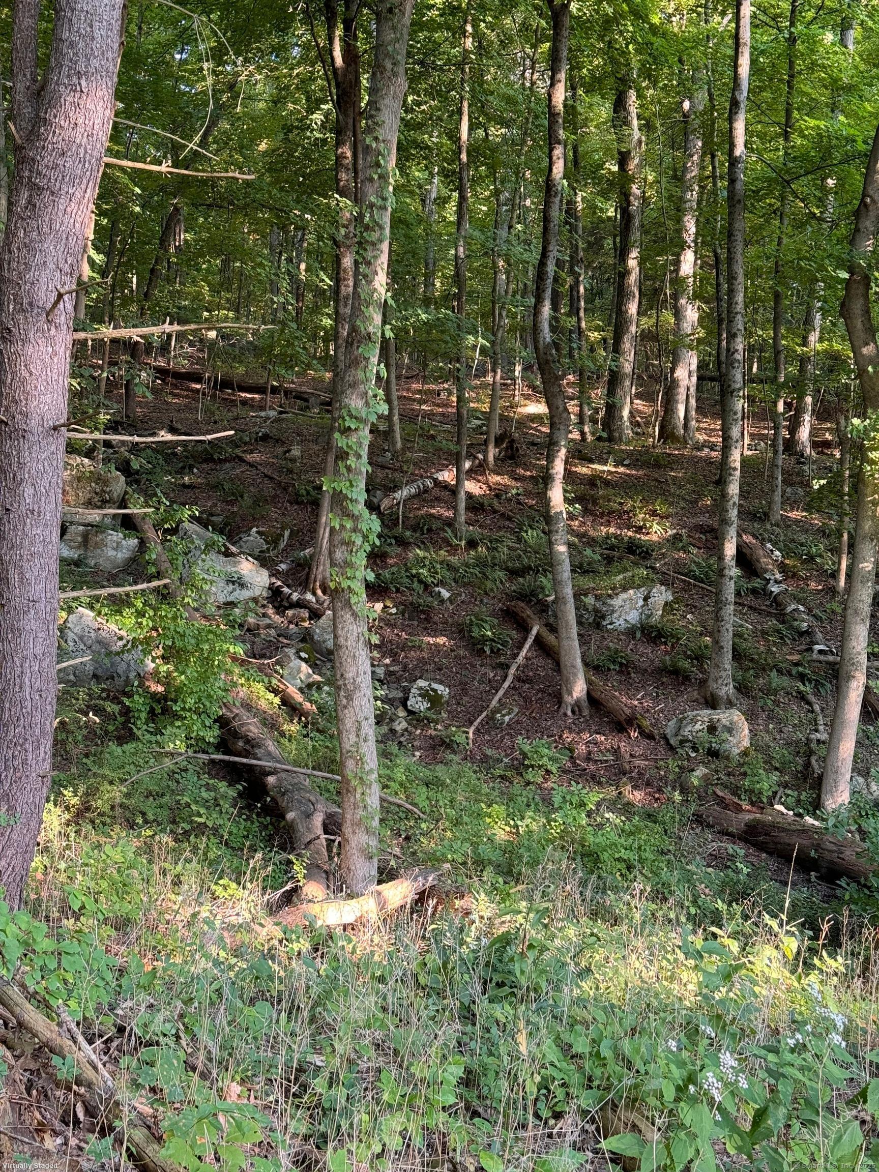 Cornwall Bridge Road, Sharon, Connecticut image 11