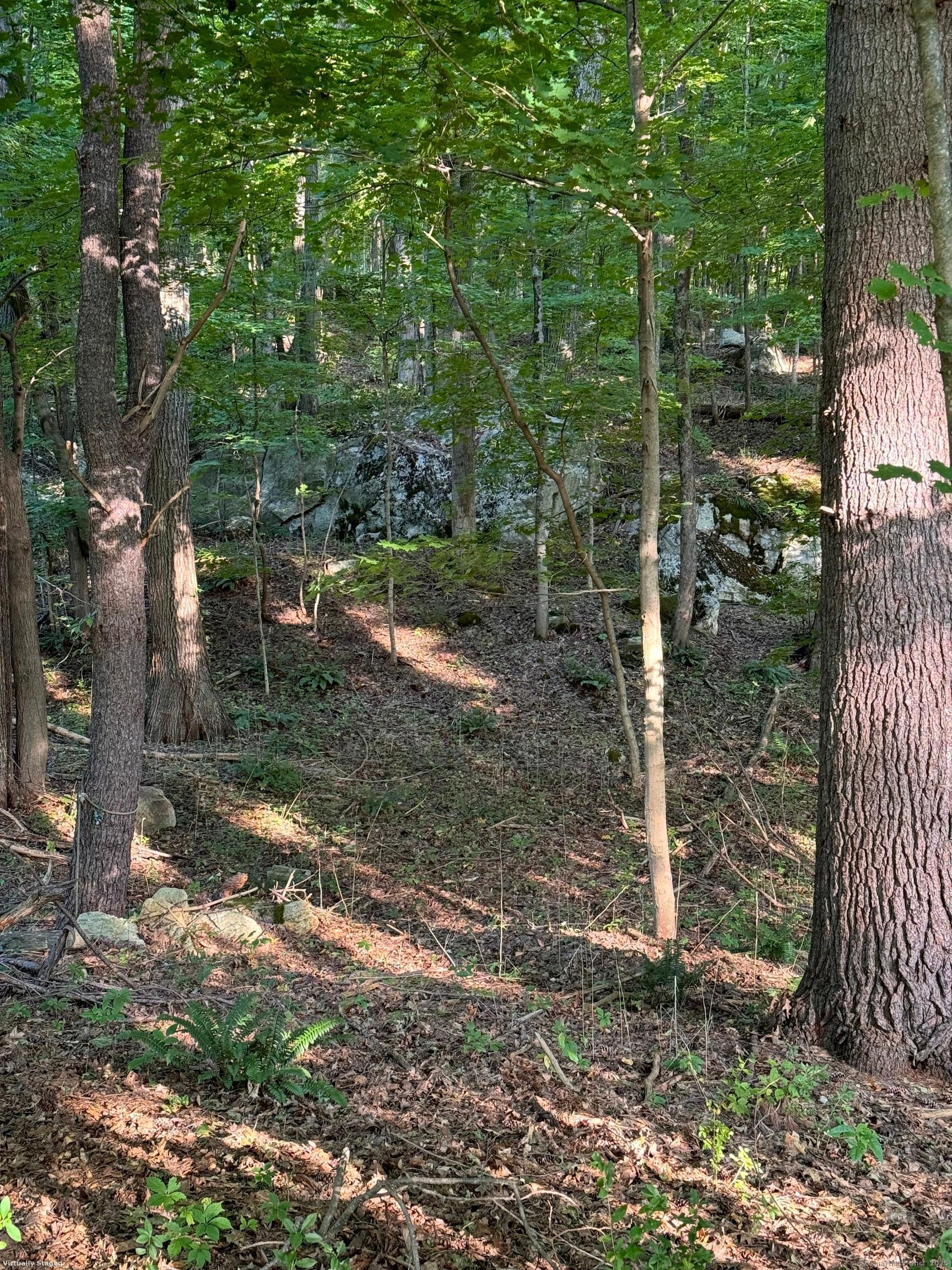 Cornwall Bridge Road, Sharon, Connecticut image 12