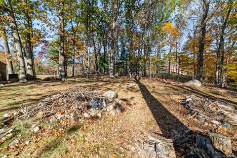 Tiny photo for 20 Chapman Road, East Hampton, CT 06424 (MLS # 24135515)