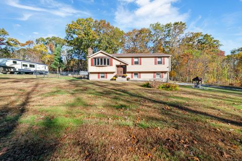 Photo of 20 Chapman Road, East Hampton, CT 06424 (MLS # 24135515)