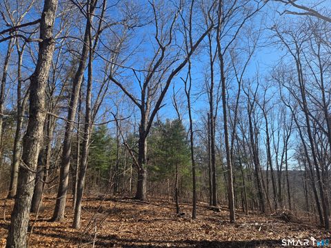 Vacant Land For Sale - Green Hollow Road Road<br/> Windham County, Plainfield, CT 06354