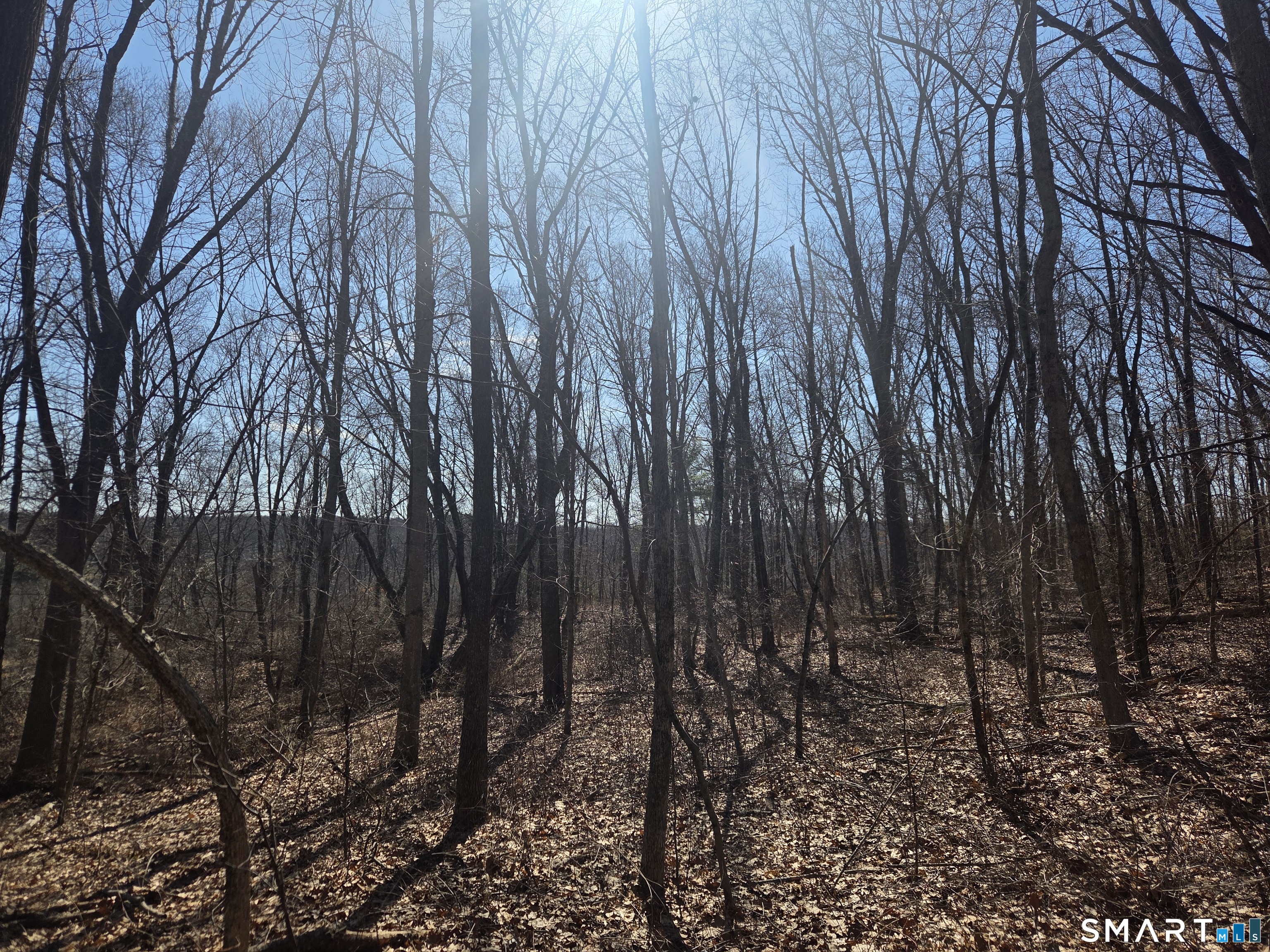 0 Green Hollow Road Road