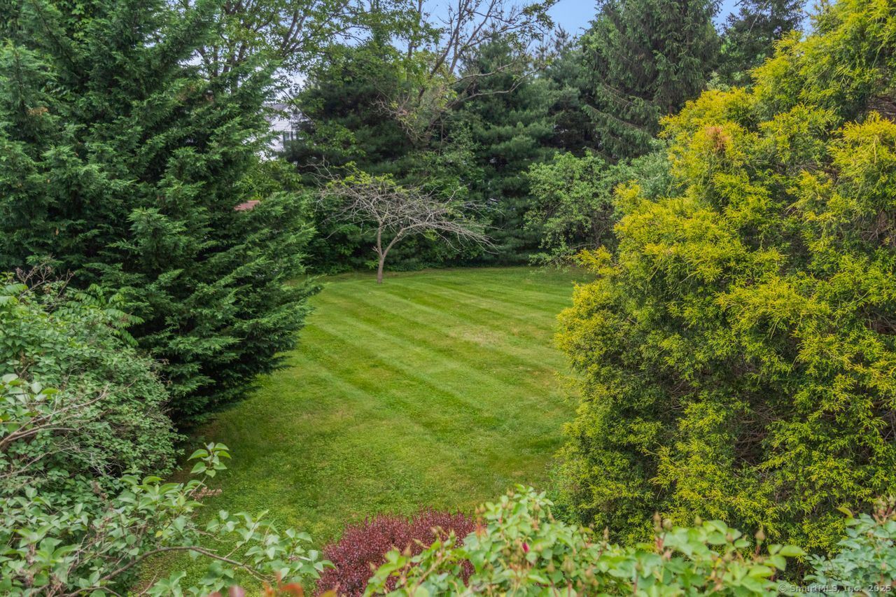 409 Evergreen Avenue, Hamden, Connecticut image 25