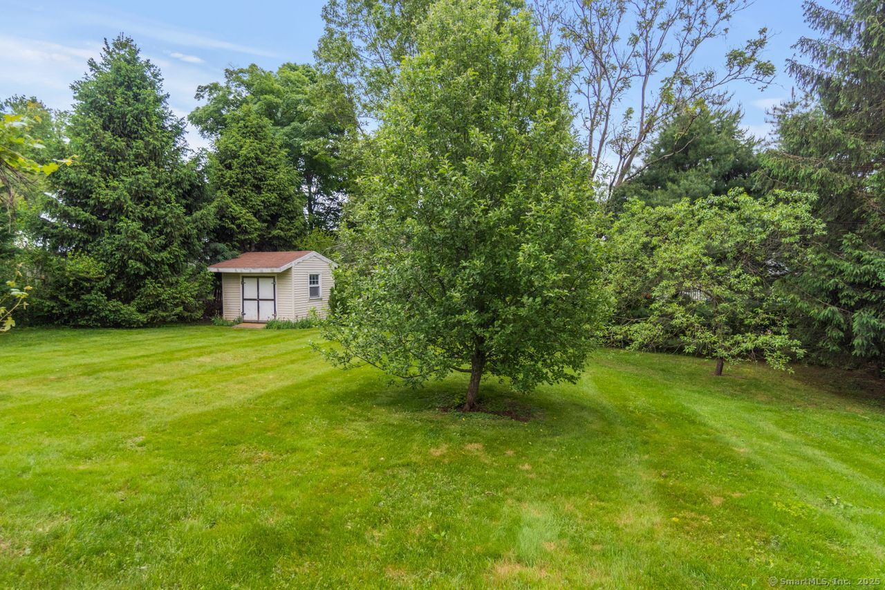 409 Evergreen Avenue, Hamden, Connecticut image 23