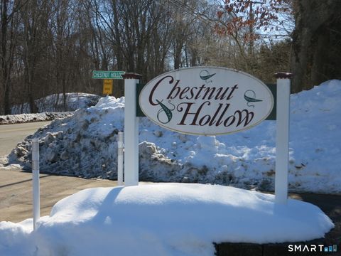 Tiny photo for 7 Chestnut Hollow Road #7, Colchester, CT 06415 (MLS # 24151886)