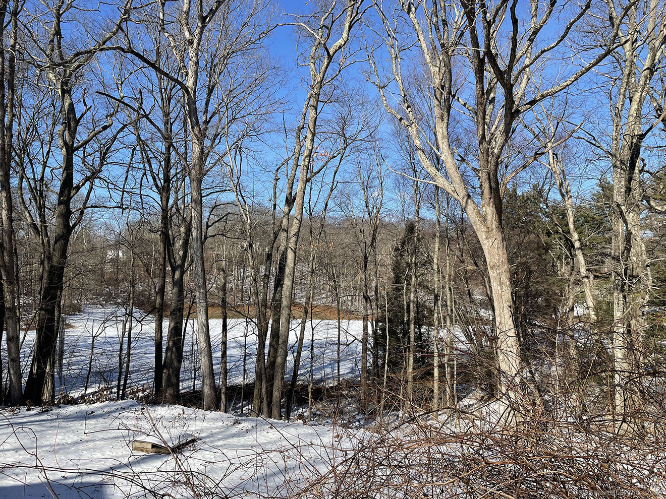 28 Maple Drive, Middlebury, Connecticut image 34