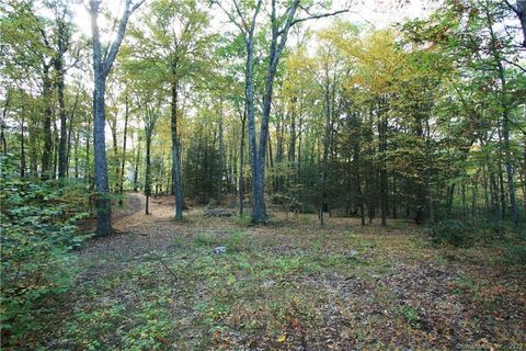 Tiny photo for 114 Daniel Trace, Burlington, CT 06013 (MLS # 170428236)