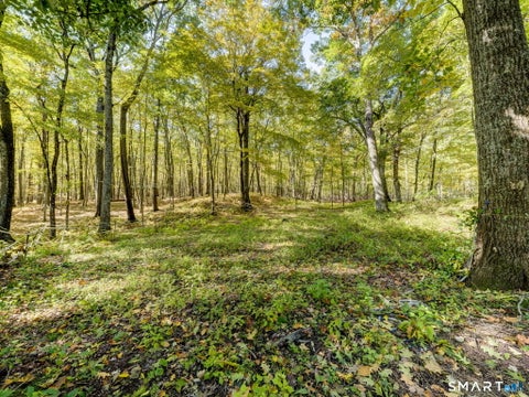 Tiny photo for 81 W Morris Road, Washington, CT 06794 (MLS # 24213287)