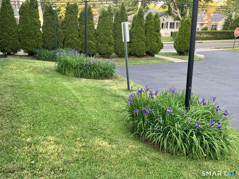 Tiny photo for 294 Church Street, Guilford, CT 06437 (MLS # 24159857)