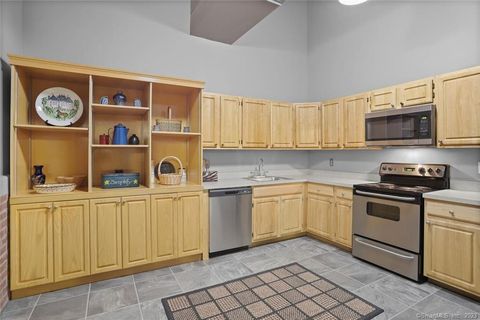 Tiny photo for 25 Grand Street #APT 241, Norwalk, CT 06851 (MLS # 24146362)