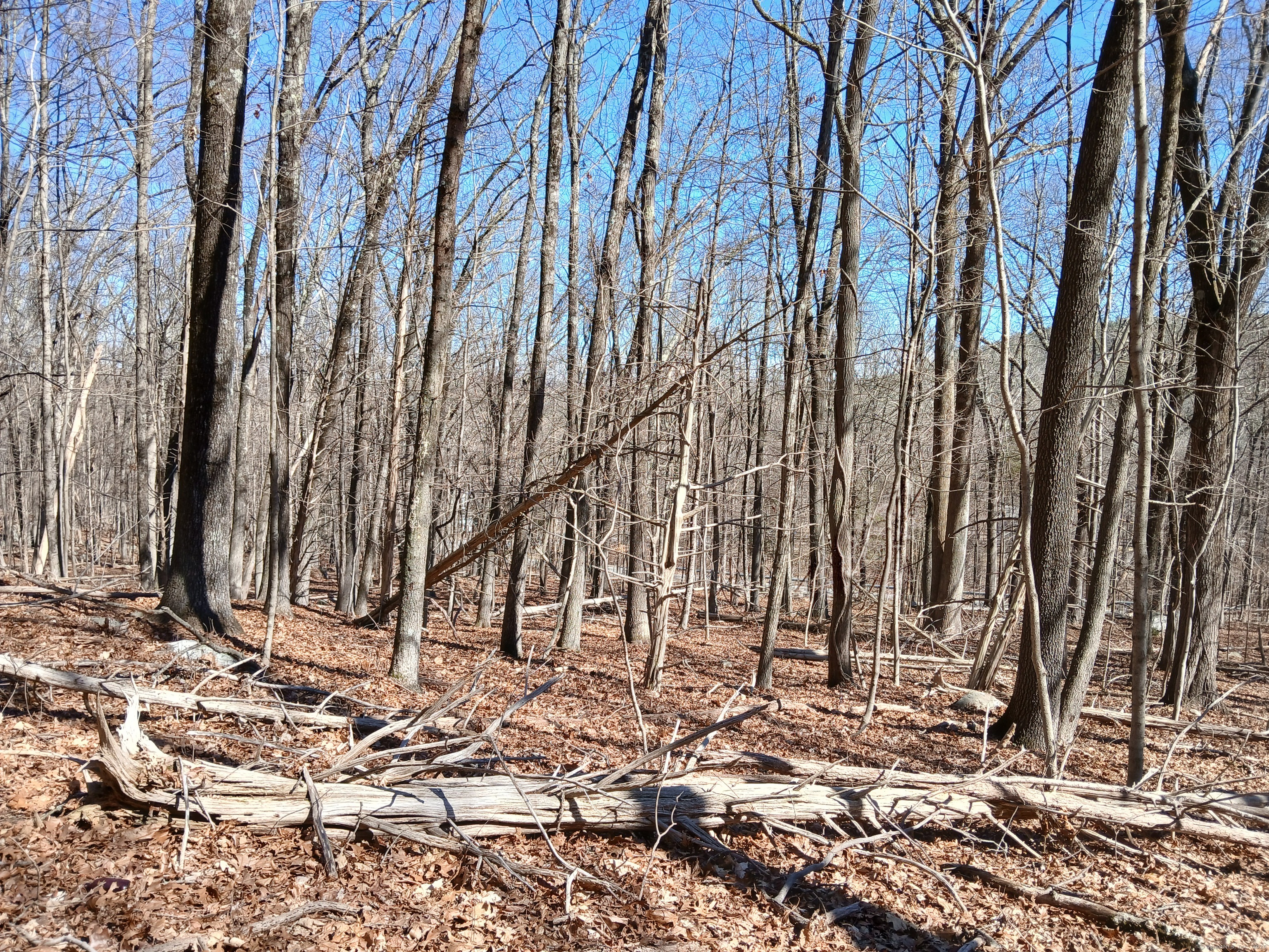 Sherman Road, New Milford, Connecticut image 8