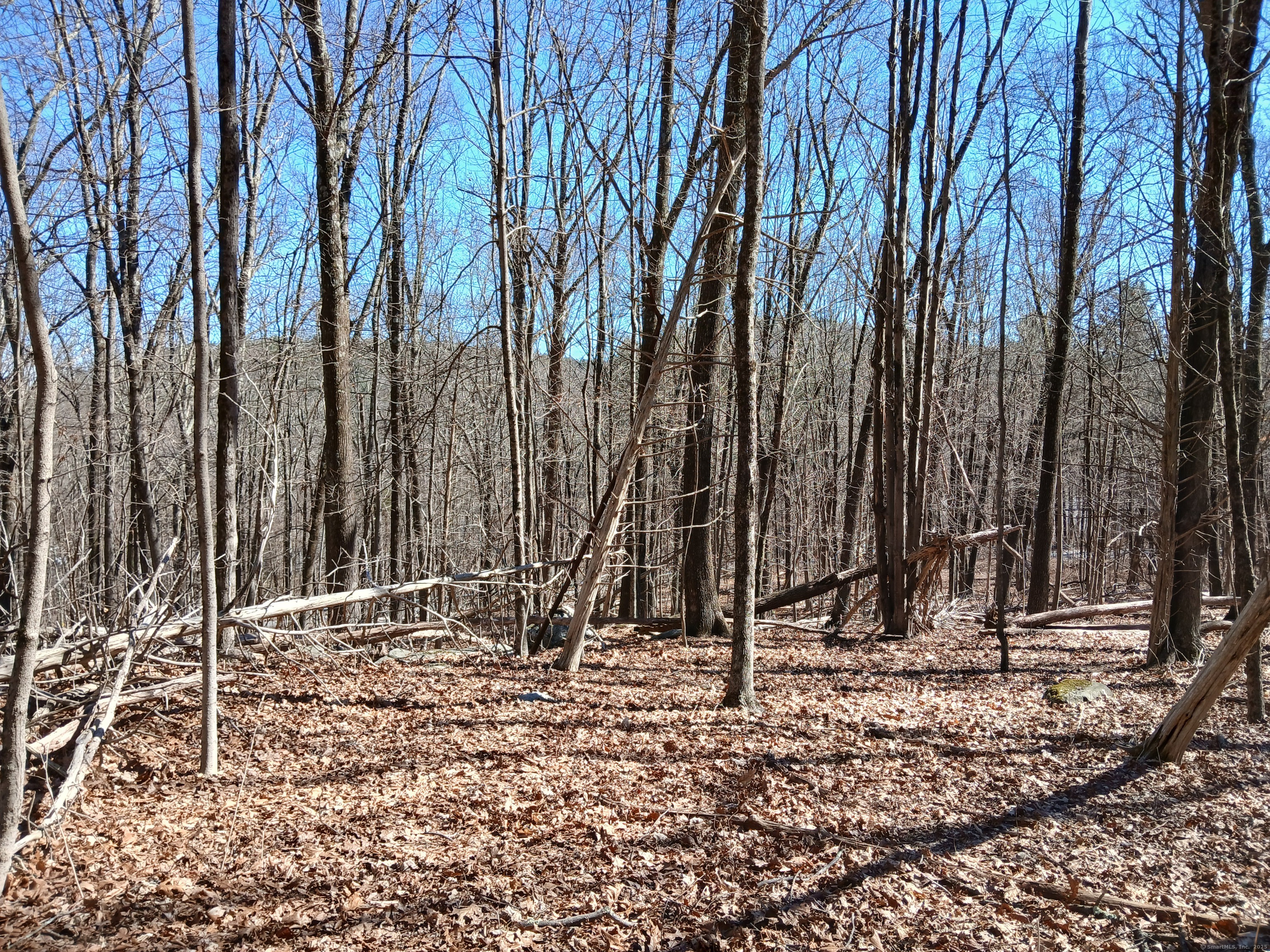 Sherman Road, New Milford, Connecticut image 3