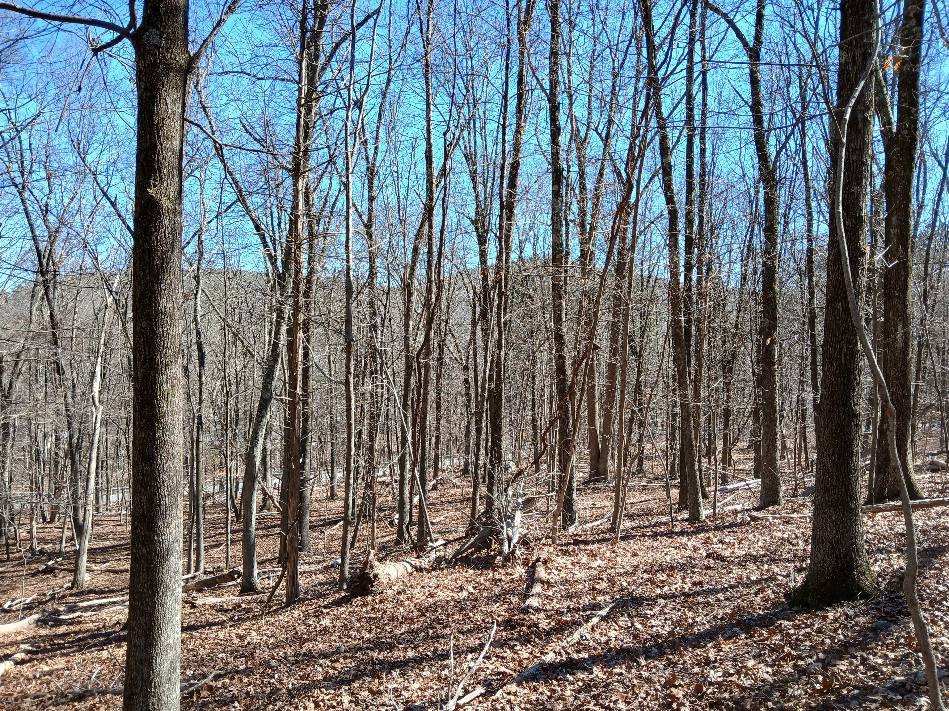 Sherman Road, New Milford, Connecticut image 1