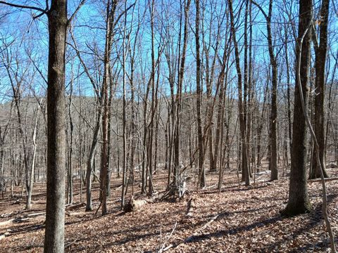 Sherman Road New Milford CT 06776