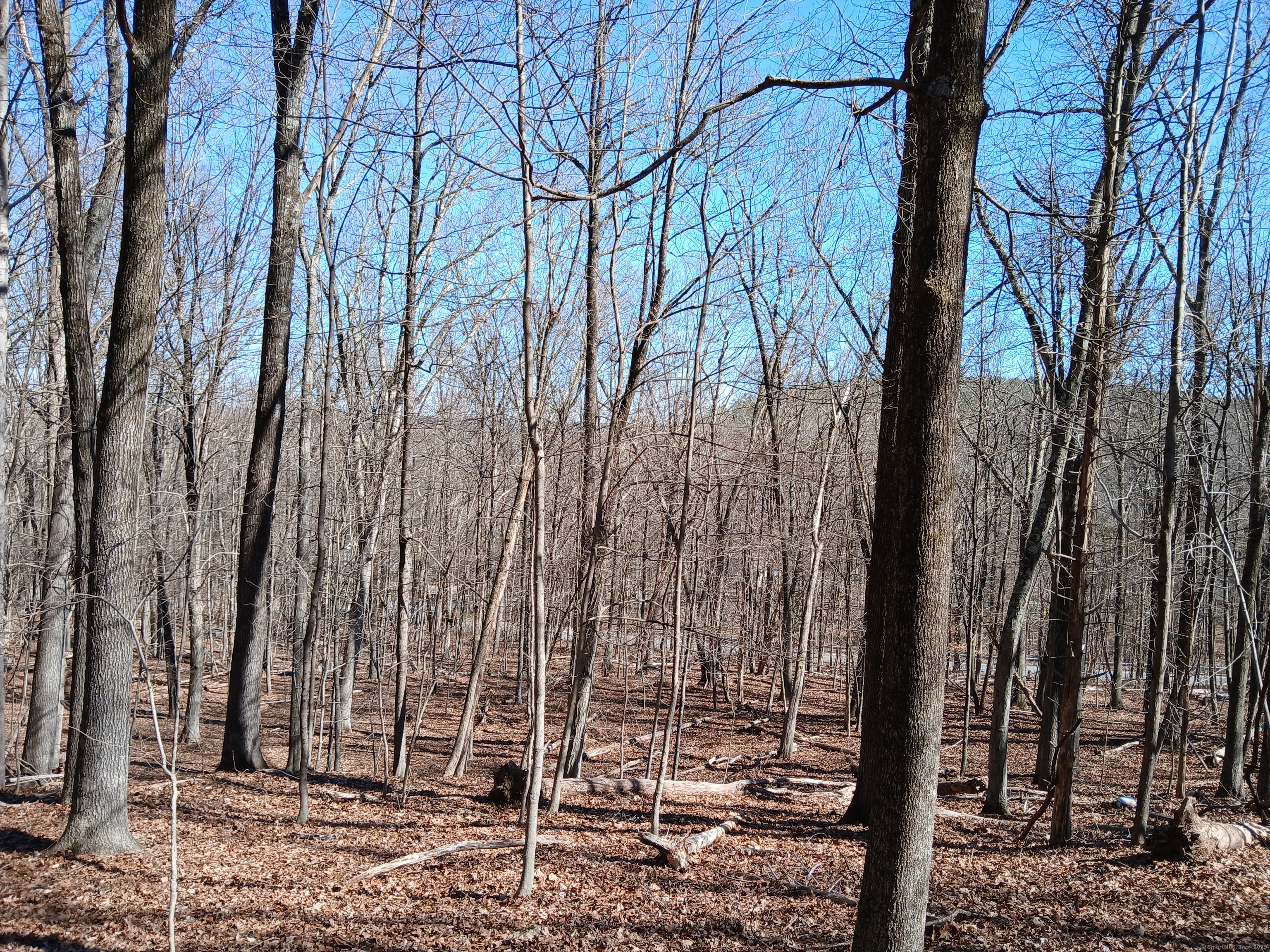 Sherman Road, New Milford, Connecticut image 2