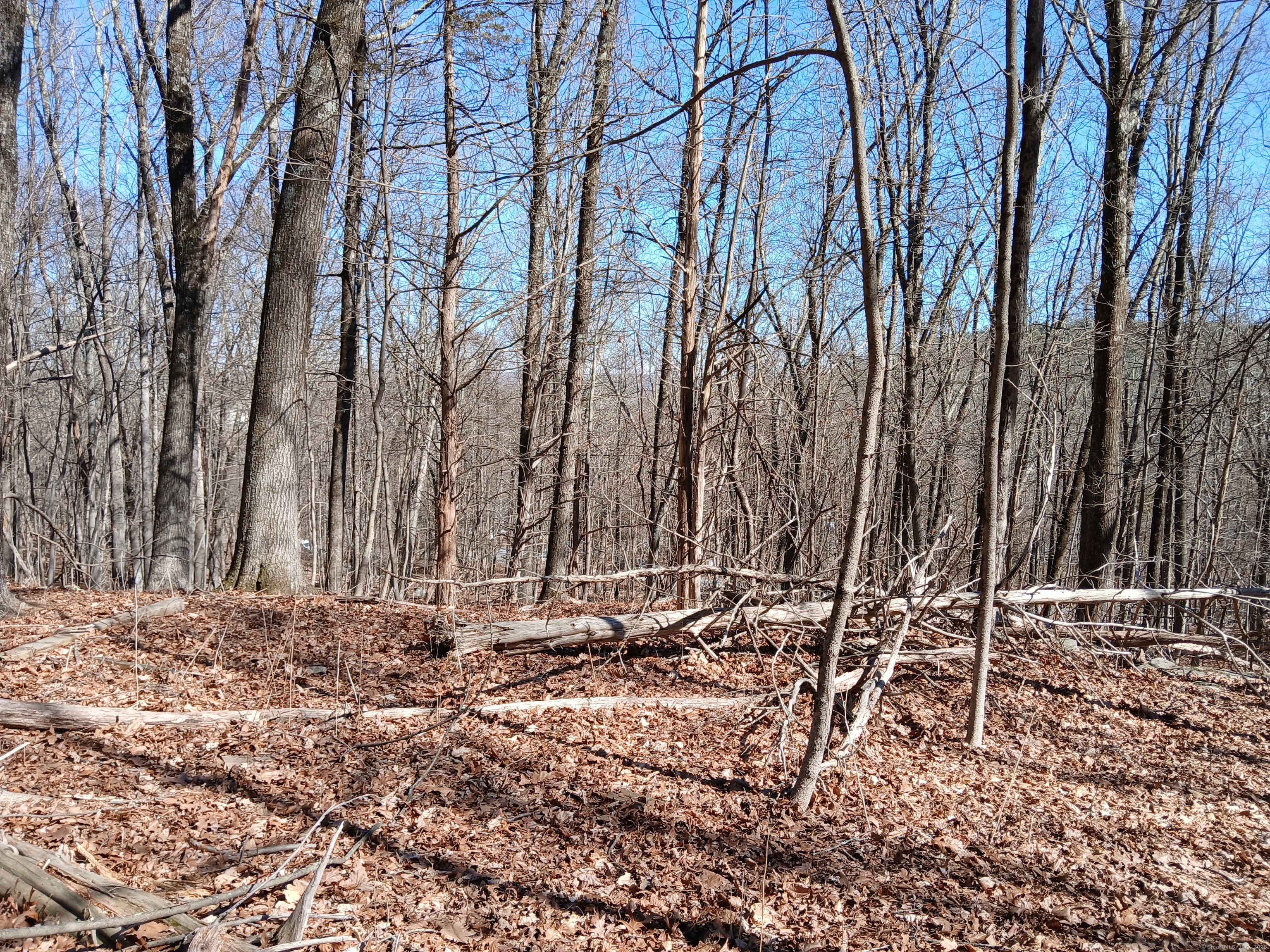Sherman Road, New Milford, Connecticut image 4