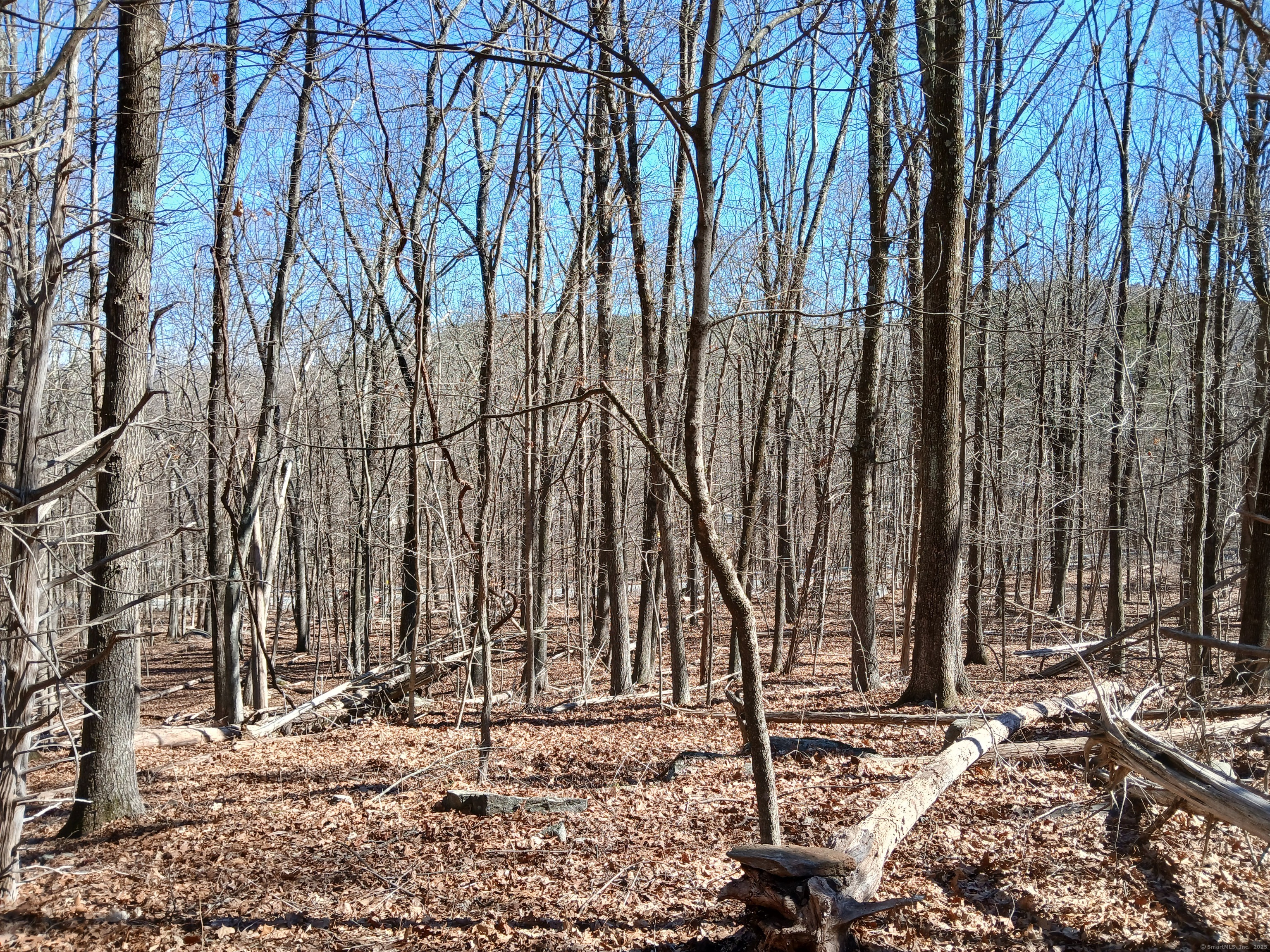 Sherman Road, New Milford, Connecticut image 5