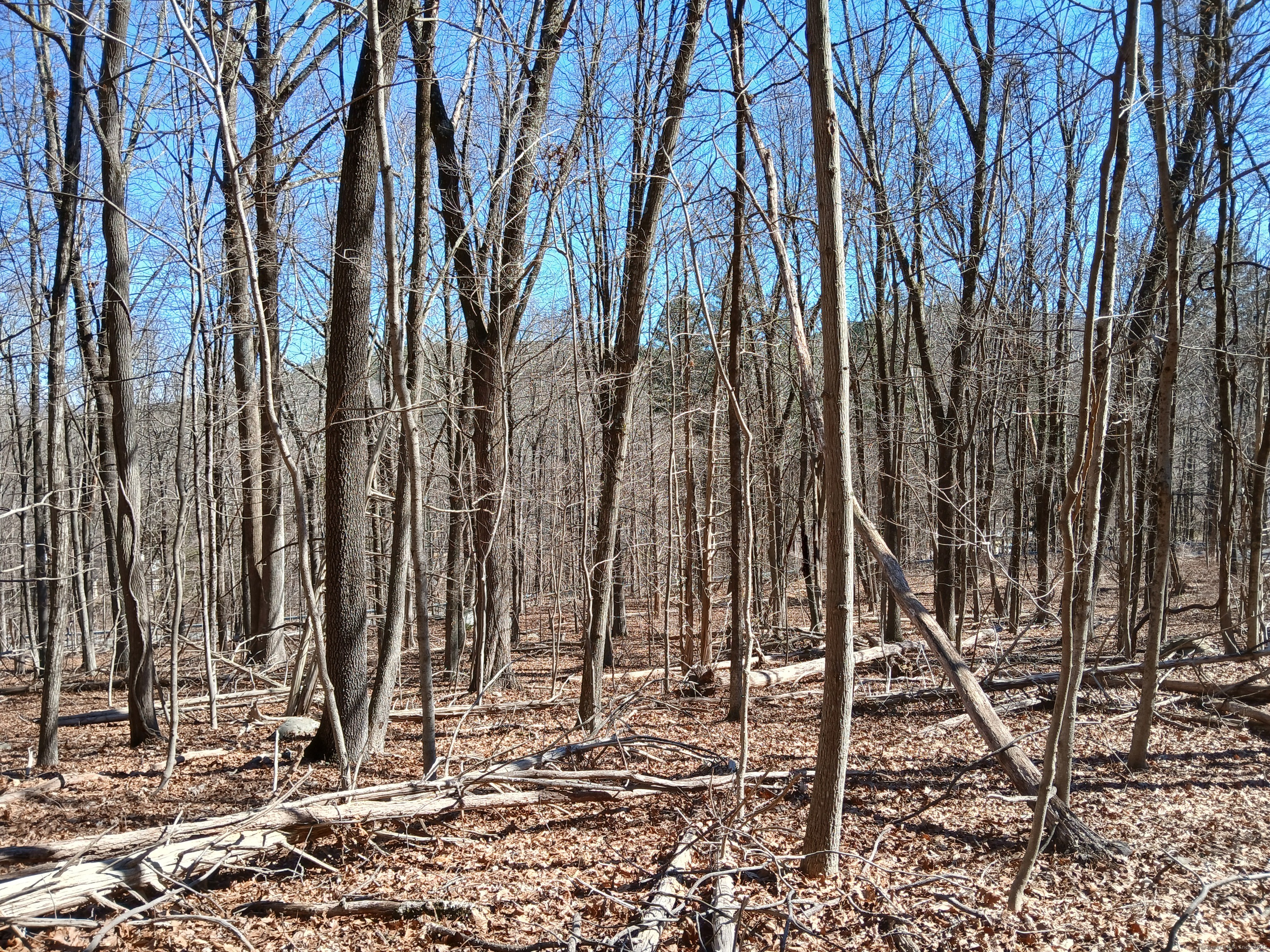 Sherman Road, New Milford, Connecticut image 7
